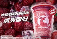 瑞幸咖啡总部投诉电话是多少？文章留言区可以找到它