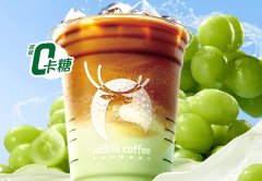 开一家瑞幸咖啡店贵吗？咖啡瑞幸咖啡加盟费多少钱